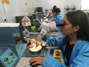 授人以漁 深圳電子產(chǎn)業(yè)園助力喀什破解就業(yè)難題